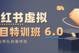 3月更新小红书虚拟项目特训课8.0 从0到1打造稳定盈利店铺
