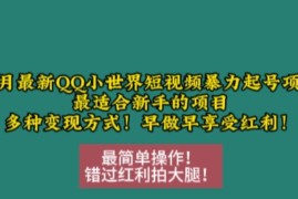 2024年12月最新QQ小世界短视频起号攻略 新手友好含多种变现方式