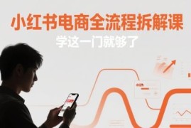 小红书电商全流程实操教程 从开店选品到爆单全环节拆解