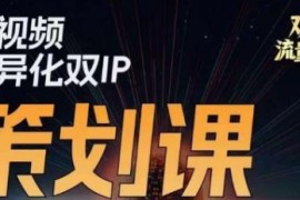 2023版伊伊莫大虾流量星球 短视频差异化双IP策划实操教程