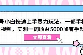 视频号小白零基础可上手暴力玩法 实测一周收益超5000元