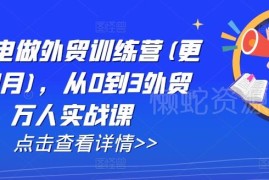 2025年6月更新AI外贸实战课 从0到1掌握建站获客成交全流程