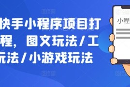 抖音快手小程序项目实操课程 图文工具小游戏全玩法教学