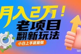 适合小白上手的老项目翻新玩法 低门槛耗时少长期可做月入可达2万