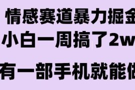 情感暴力掘金项目全玩法拆解 新人零基础可操作长期稳定盈利