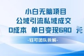 适合小白操作的零成本公域引流私域成交项目 单日可变现680元