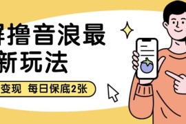 黑屏撸音浪最新玩法拆解 双重变现模式附实操教学资料