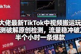 2024最新TikTok中视频搬运玩法 破解原创检测半小时出爆款
