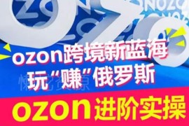Ozon俄罗斯跨境电商运营全攻略 进阶实操训练营干货汇总