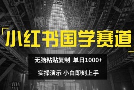 2024小红书国学赛道赚钱实操 无需转化复制粘贴小白单日可赚千元