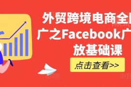 2024外贸跨境电商Facebook广告投放零基础入门实操课程