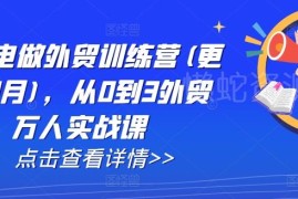 更新至2025年2月 AI闪电做外贸从0到3万人实战训练营课程