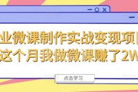 商业微课制作实战变现项目全解析 副业接单月入可达2W+