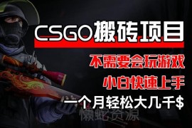2024CSGO装备搬砖项目实操 小白无需会玩游戏也可月入数千