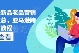 亚马逊新品老品营销打法汇总 跨境电商运营实操教程
