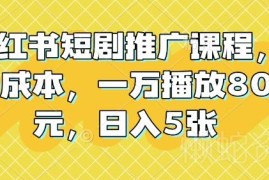 2024小红书短剧推广实操课程 0成本万播放可赚80元玩法教学