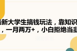 适合大学生的知识掘金副业玩法 小白易上手月入可达两万