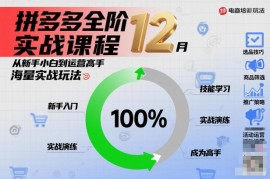 12月拼多多全阶实战课程 零基础入门到运营高手实操教学