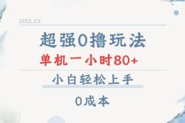 零成本数据录入副业玩法揭秘 小白易上手单小时收益可达80+