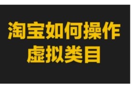2024淘宝虚拟类目操作教程 从开店选品到运营全流程玩法指南
