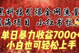 小红书拉新赚钱项目实操指南 零成本上手单日最高收益7000+