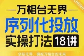 万相台无界序列化投放实操18讲 淘系电商运营推广必修课程
