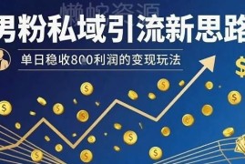 适合新手操作的男粉私域引流思路 低耗时稳定变现单日收益可观