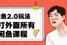 闲鱼2.0实操玩法完整教程 单号单日最高可实现2000元收益