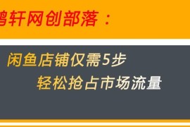 闲鱼无货源店铺运营5个核心技巧 快速抢占平台公域市场流量