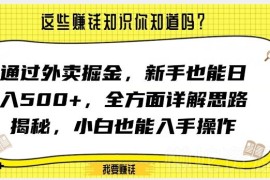 外卖掘金项目全思路揭秘 新手小白可上手的实操玩法解析