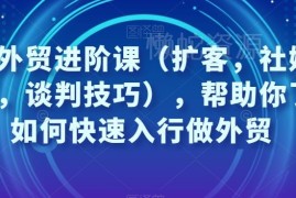 凤姐外贸进阶课 外贸入行获客社媒运营沟通谈判全流程教程