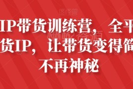 素人IP带货训练营全攻略 从0到1掌握全平台带货运营技巧