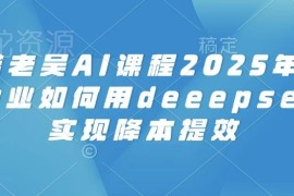 2025天诺老吴AI课程 电商企业Deepseek降本提效实操教程