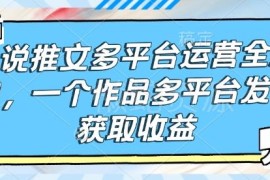 小说推文多平台运营全流程 单作品多端发布获收益实操教程