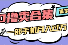 AI工具合集售卖副业项目解析 一单29.9元手机可操作月入过万