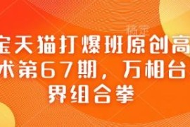 淘宝天猫高阶运营第67期：万相台无界组合拳实操玩法详解