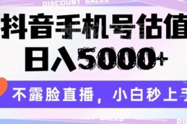 抖音手机号估值不露脸直播玩法 小白易上手高收益副业拆解