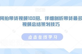100招全品类带货视频拍摄技巧 高转化视频策划方法详解
