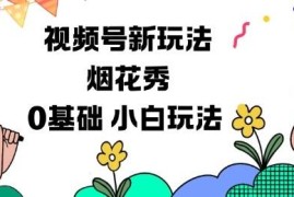 视频号分成计划全新玩法 0基础小白可操作的烟花秀视频项目
