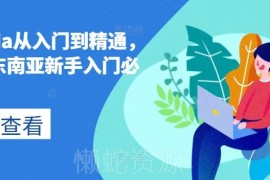 Lazada东南亚跨境电商实操教程 新手从入门到精通全阶段运营课