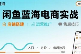 闲鱼蓝海电商实操教程 店铺搭建运营售后全流程详解