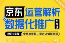 京东运营与数据化推广系列课 全维度讲解运营逻辑与销售额提升技巧