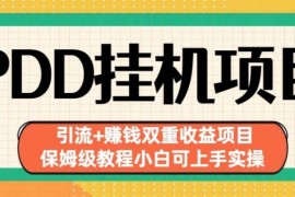 拼多多挂机引流赚钱项目实操教程 小白可上手的保姆级玩法解析