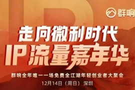 2025年12月14日深圳IP嘉年华线下课 微利时代IP运营实操干货