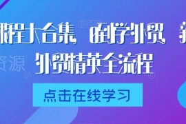 外贸从0到1全流程课程合集 新手入门到精英进阶学习教程