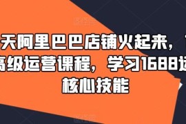 1688高级运营系统课程 90天掌握阿里店铺爆店核心技能