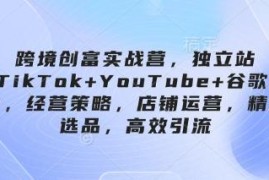 跨境独立站运营实战课程 TikTok+谷歌多渠道引流选品全流程教学
