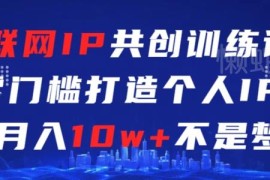 零门槛互联网IP共创课 零基础个人IP打造及变现全流程教学