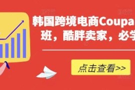 2025韩国Coupang跨境电商高阶教程 酷胖卖家实操提升课程