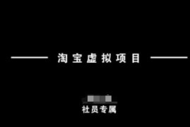 淘宝虚拟项目理论实操全指南 零基础新手也能快速上手赚钱